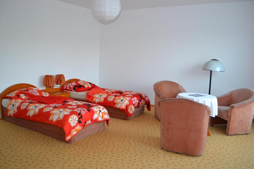 Levandule Brno Chambre photo