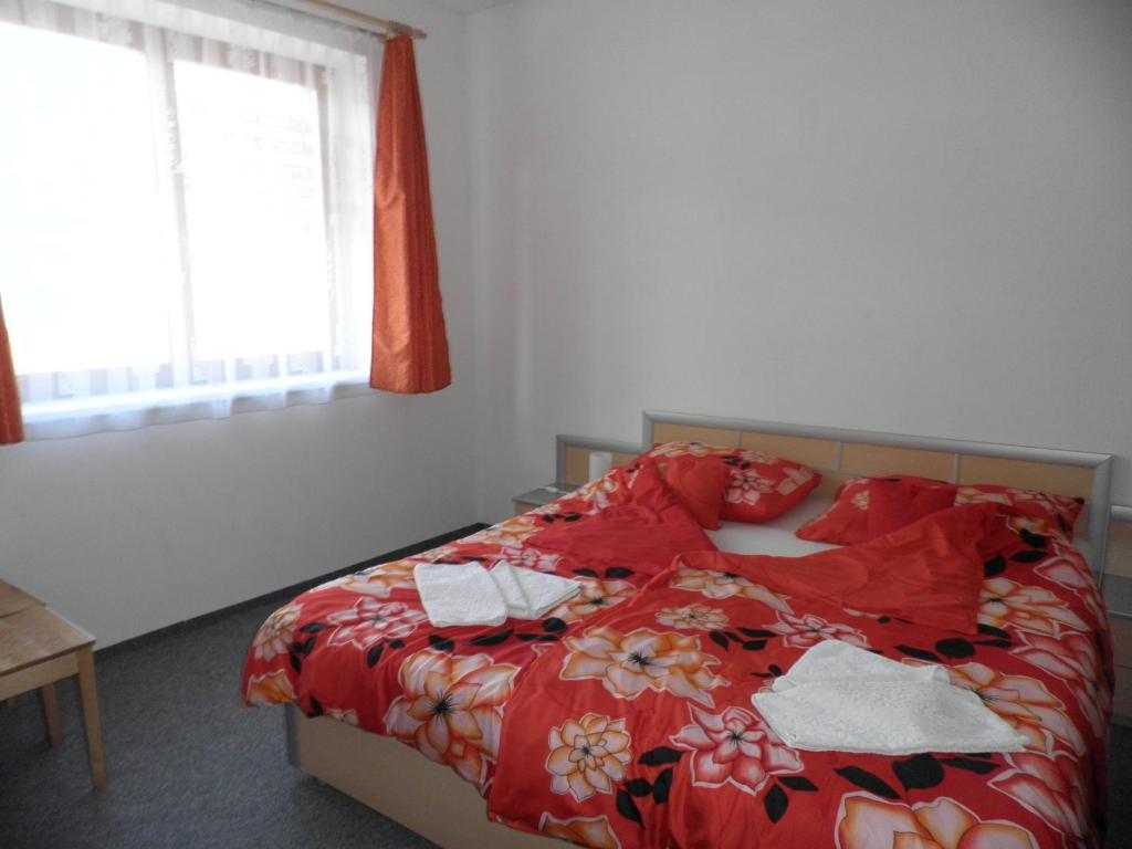 Levandule Brno Chambre photo